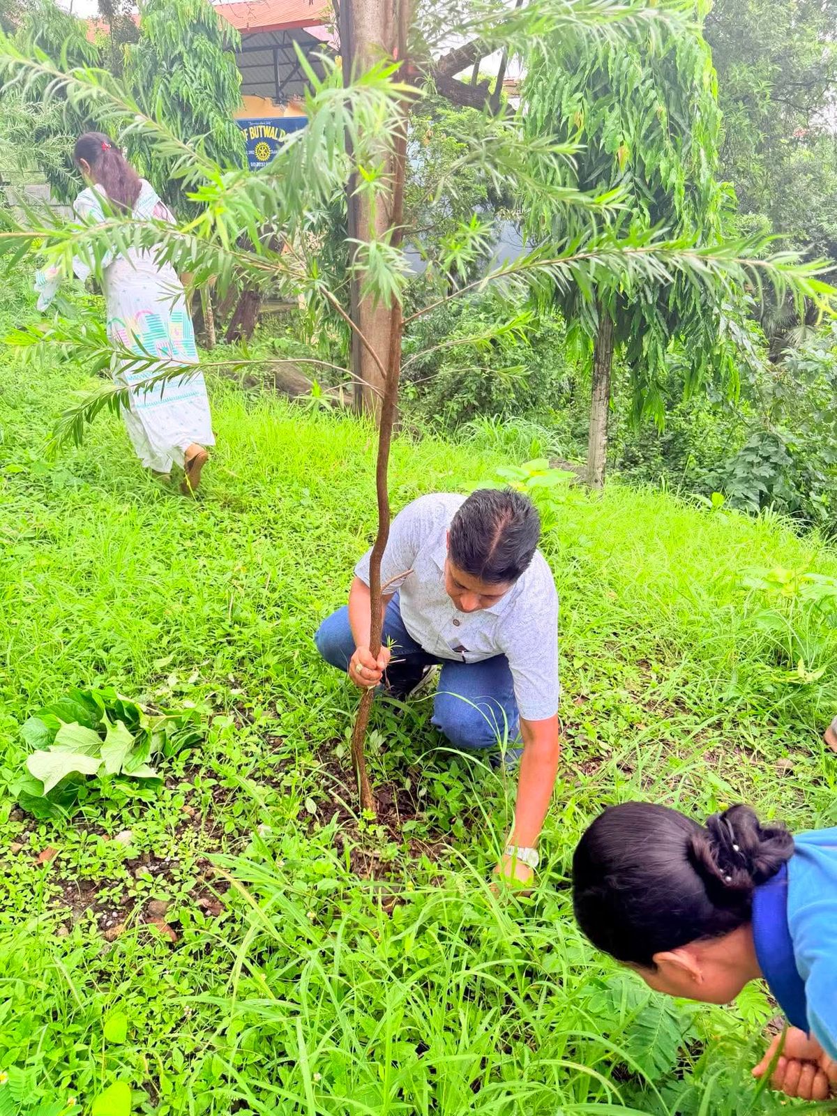 RC Butwal Downtown Supports District 1 Lakh Tree Plantation Campaign